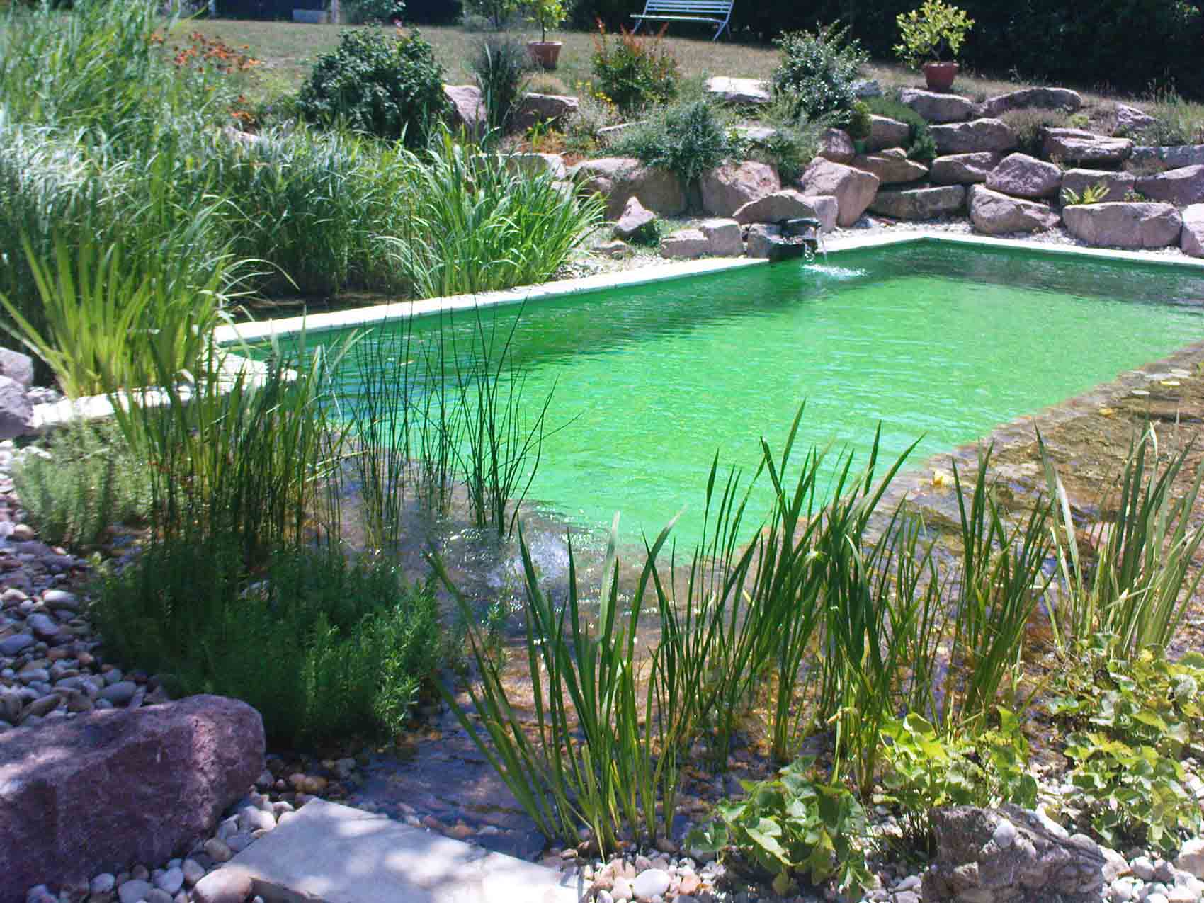 une piscine naturelle aux eaux turquoises