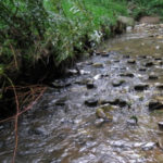 Comment intervenir de manière écologique dans le lit vif d’une rivière