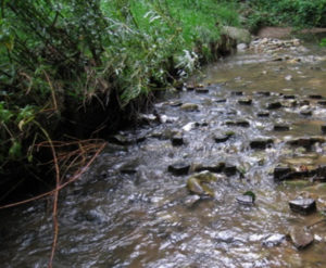 Lire la suite à propos de l’article Comment intervenir de manière écologique dans le lit vif d’une rivière